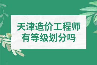 天津造价工程师有等级划分吗