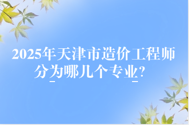 2025年天津市造价工程师分为哪几个专业？